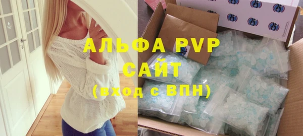шишки Белокуриха