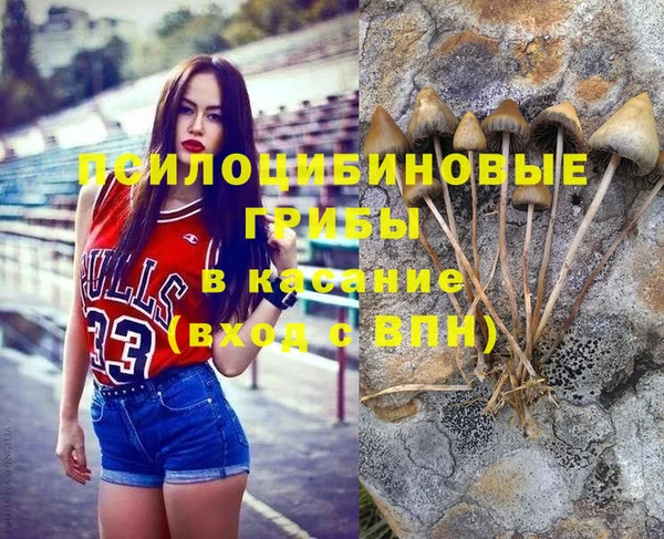 шишки Белокуриха