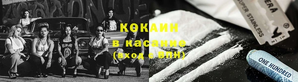 шишки Белокуриха