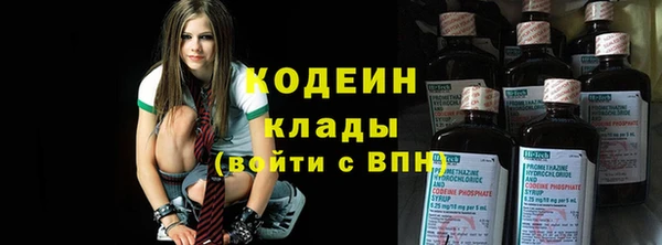 шишки Белокуриха