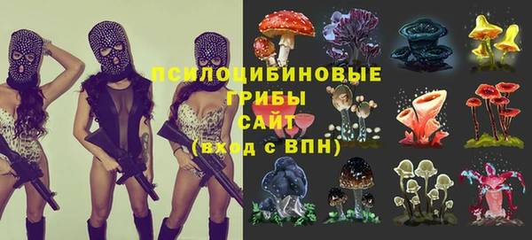 шишки Белокуриха