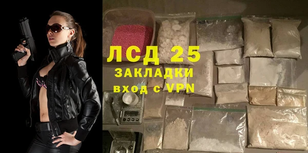 шишки Белокуриха