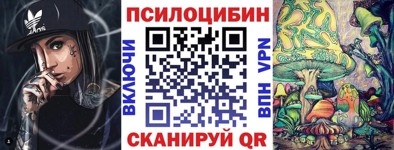 Псилоцибиновые грибы Psilocybe Пенза